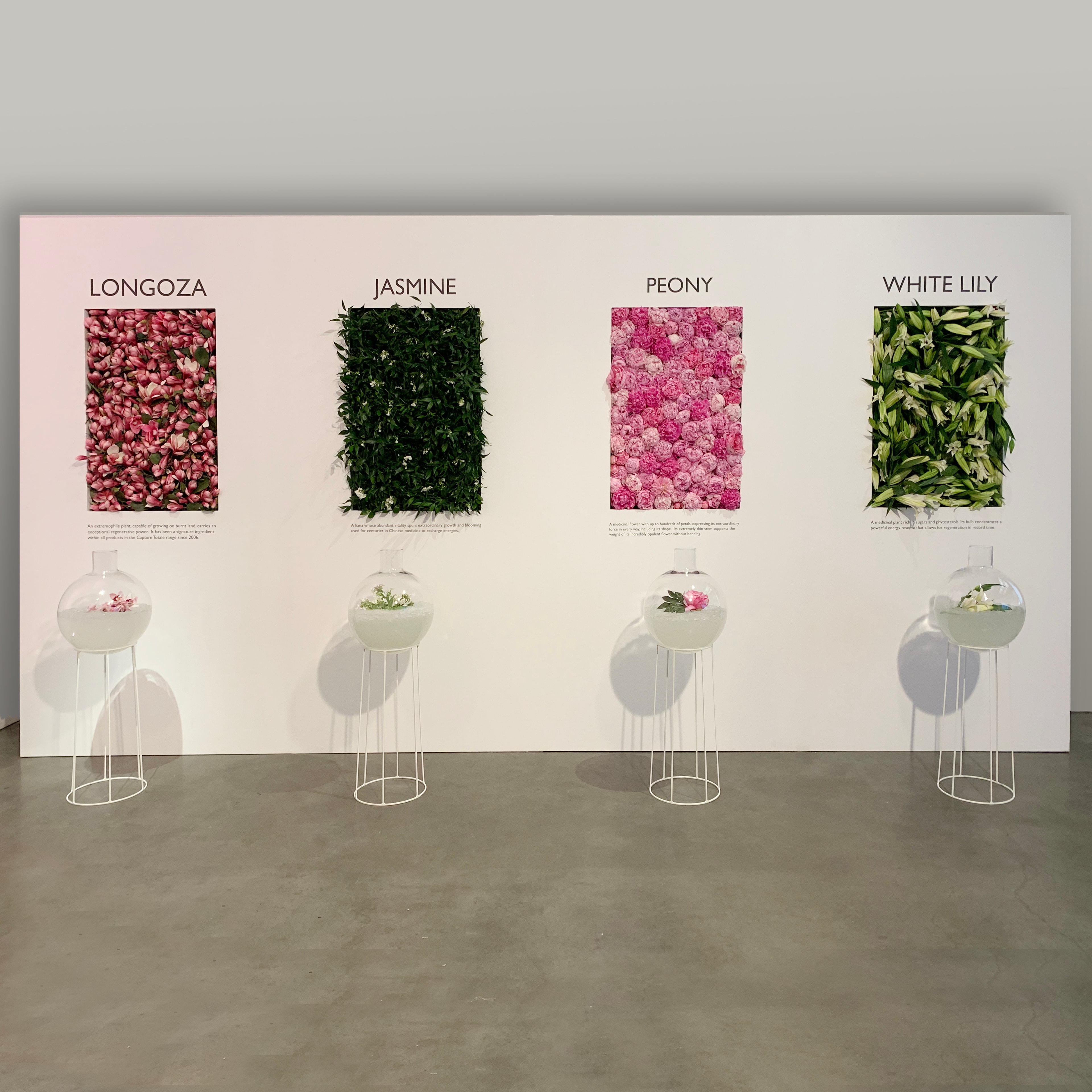 Floral event installation wall